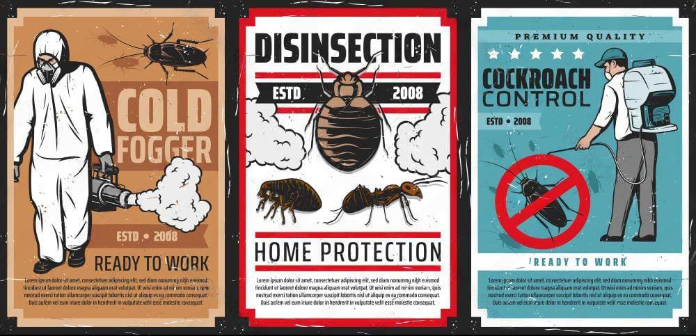 Pest Control Services in Gurgaon